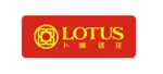 A comprehensive electronic labelling solution for LOTUS